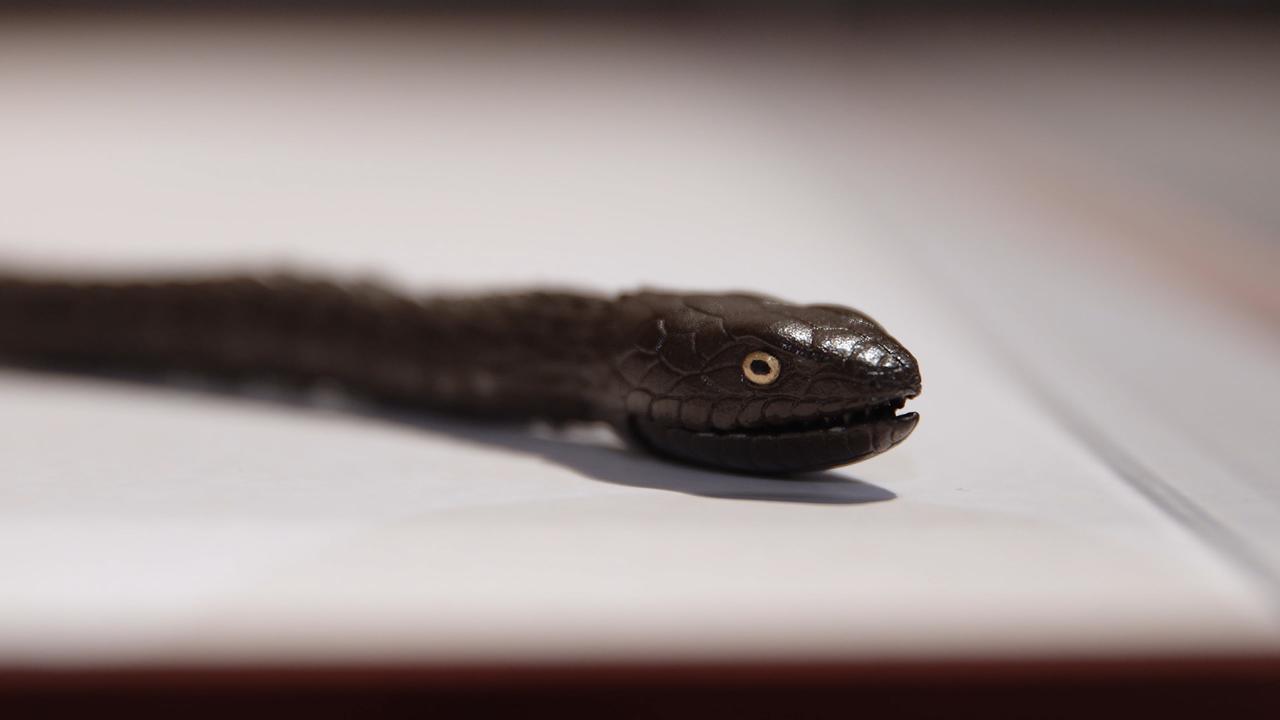 自在蛇置物複製