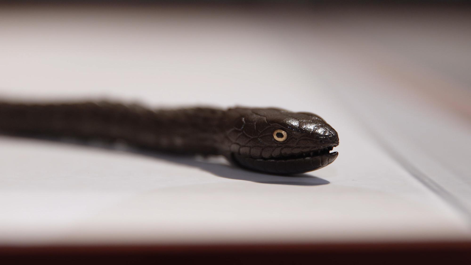 自在蛇置物複製