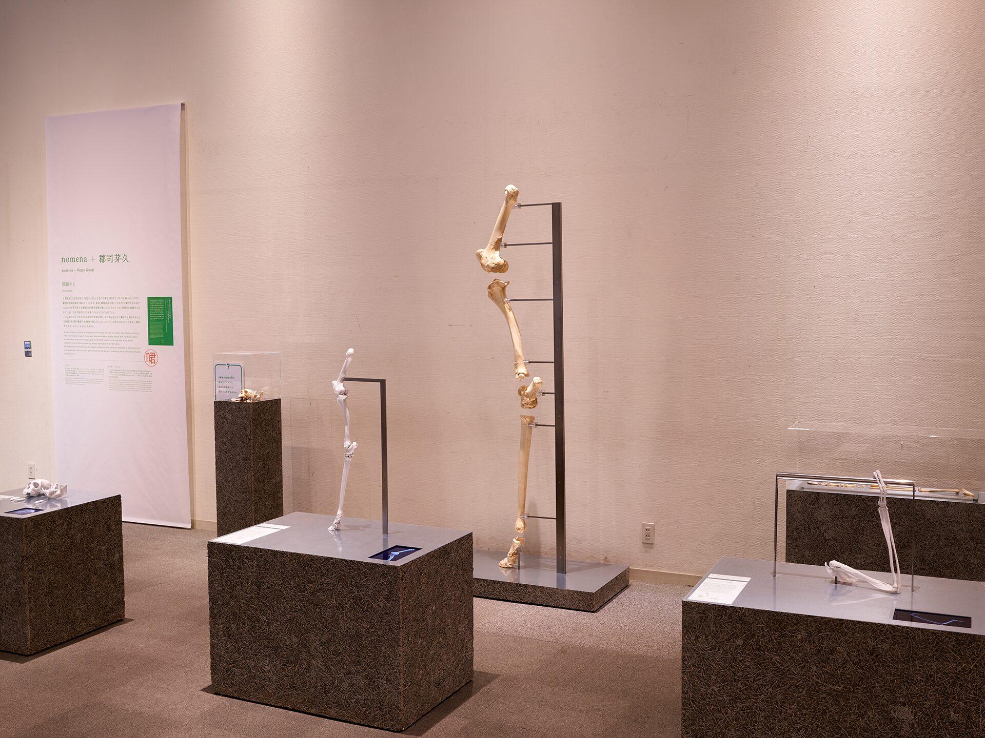 出展情報 開館30周年記念特別展「未来をつくる : 科学とデザインの実験室」