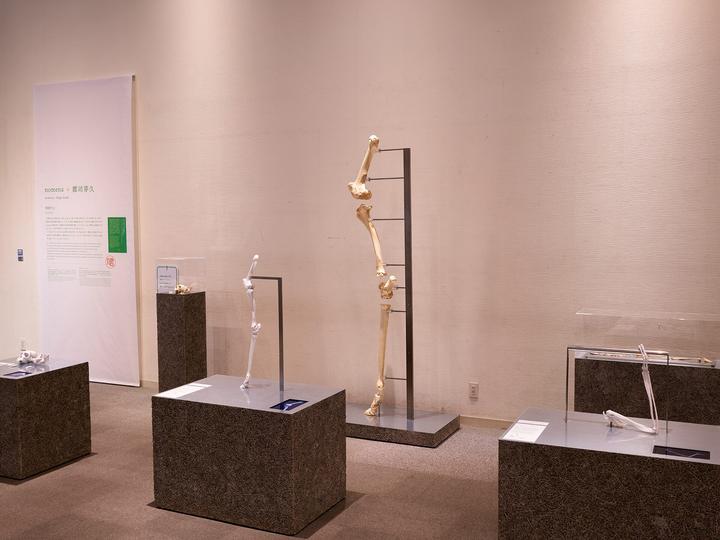 出展情報 開館30周年記念特別展「未来をつくる : 科学とデザインの実験室」