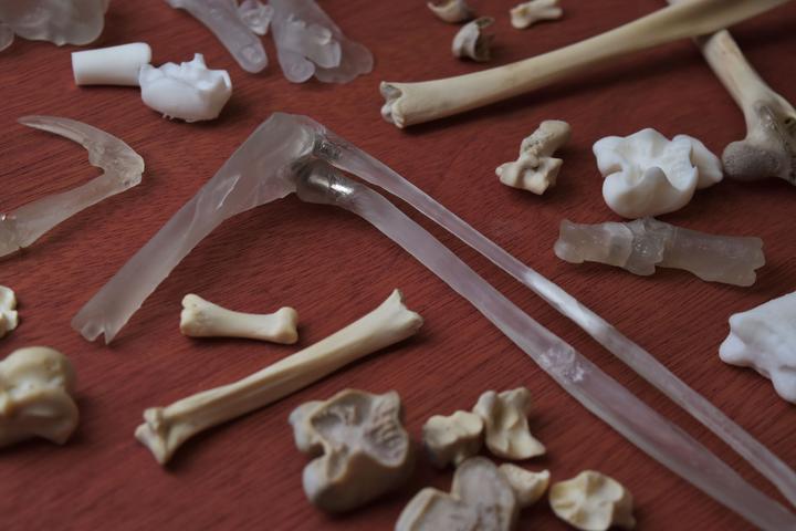 出展情報 未来のかけら: 科学とデザインの実験室